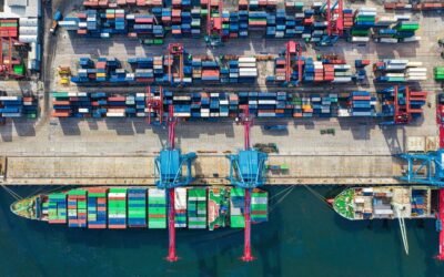 En quoi consiste concrètement le Supply Chain Management et quels éditeurs proposent des solutions ?