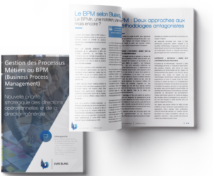 Livre blanc Business Process Management (BPM)