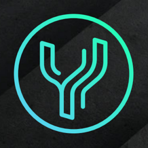 YNEOS Cybersécurité